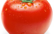 گوجه فرنگی دشمن سرطان و شفاف کننده پوست