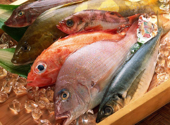 راه های تشخیص ماهی سالم از فاسد